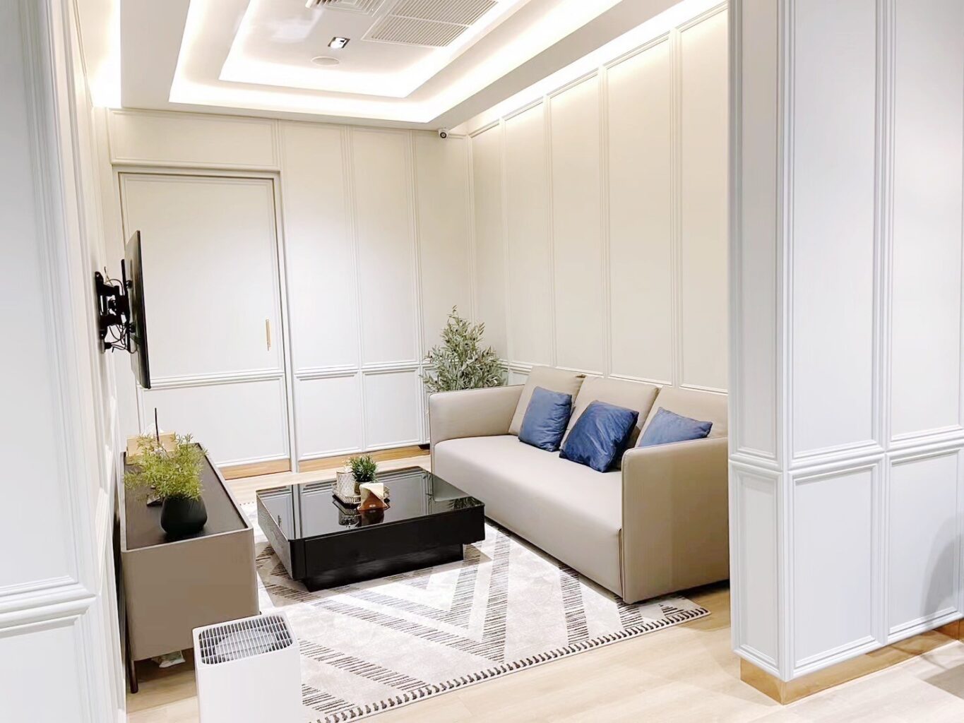 VIP-起居室